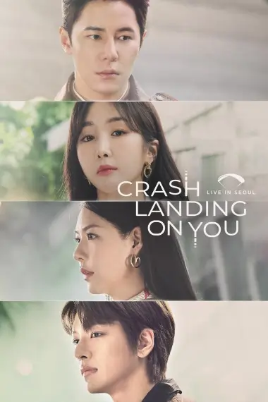 Crash Landing on You S01 (2019) K-Drama Hindi Dubbed Completed HD
